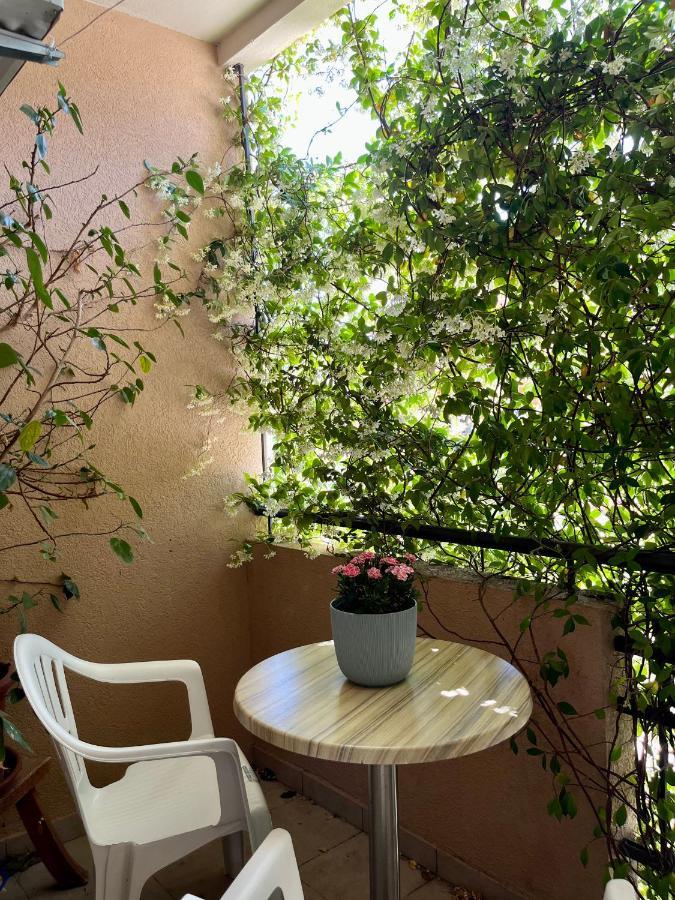Apartmani Goran I Jelena Zec Budva Ngoại thất bức ảnh